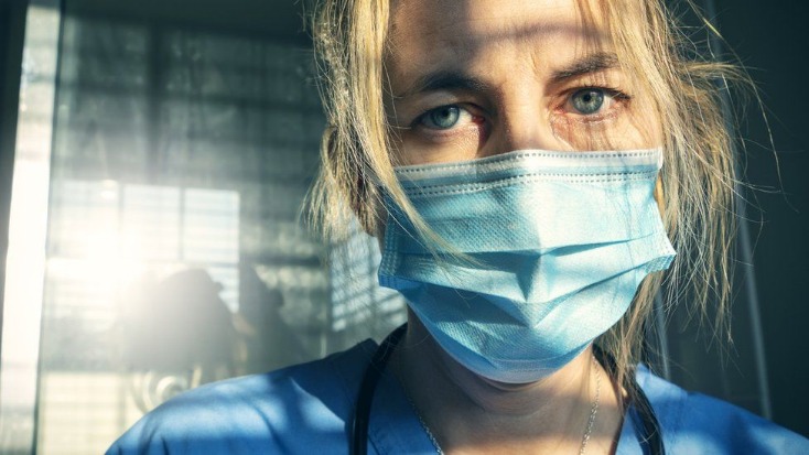 darknet database market