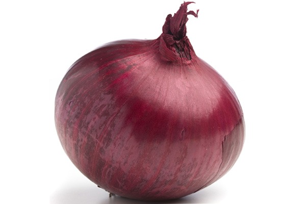 onion websites for credit cards