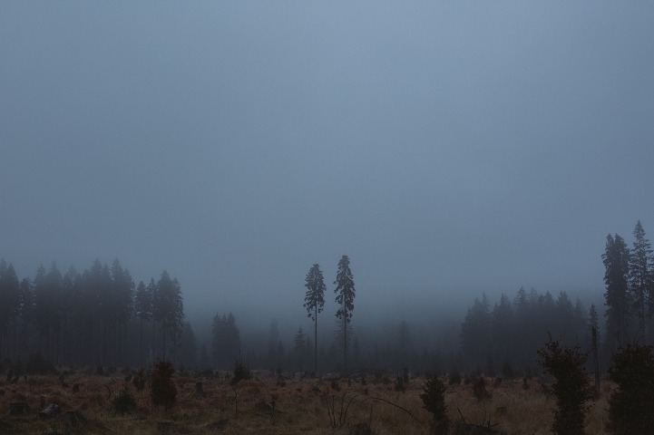 dark web markets 2024 reddit