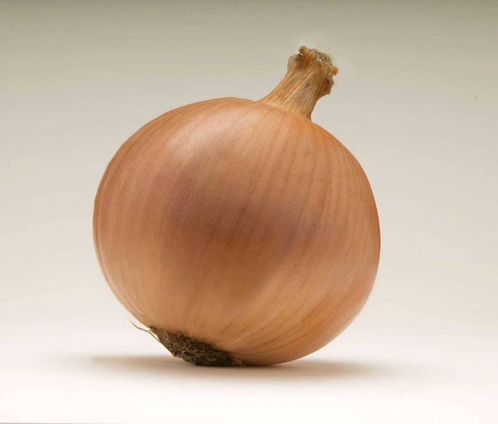onion links 2025