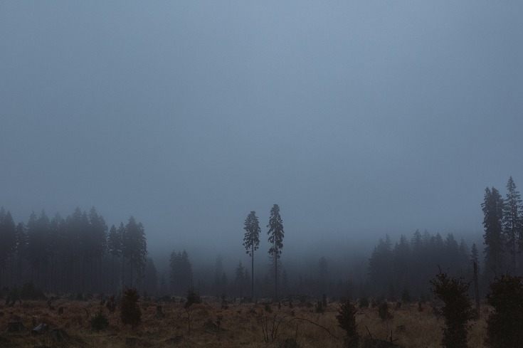 dark web links 2025 reddit