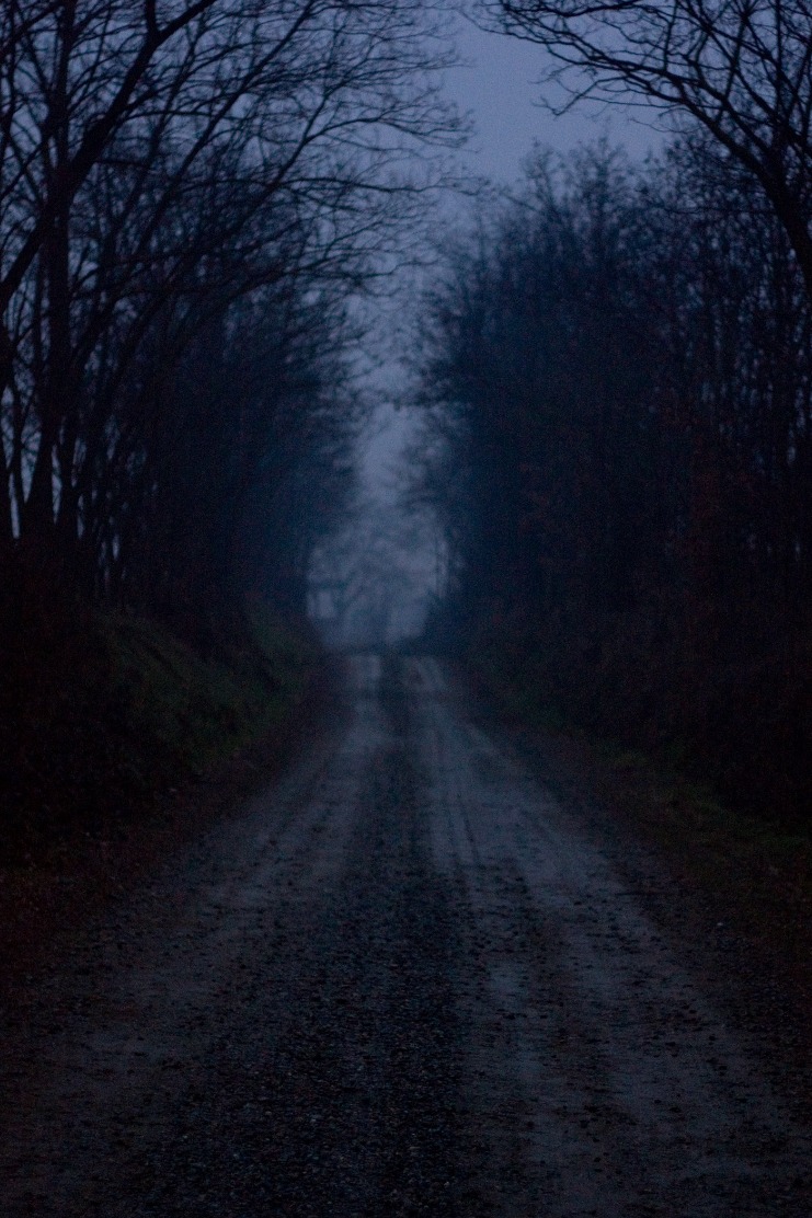 dark web markets reddit 2023