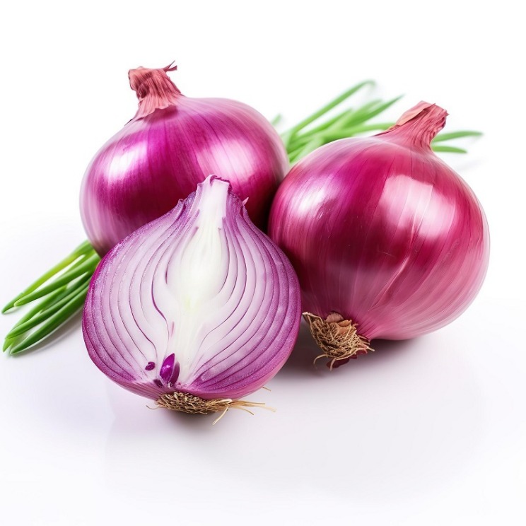 onion link