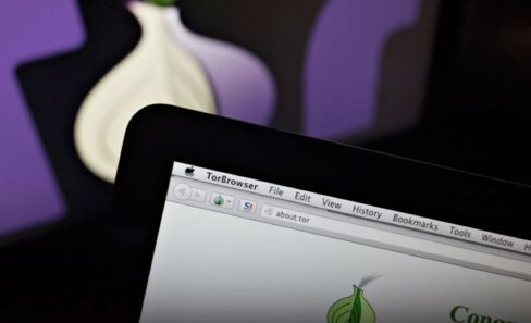 dark web social security number