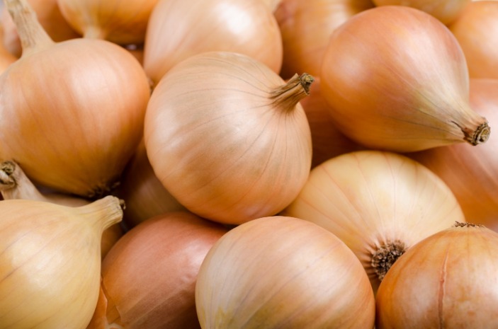 onion darknet market