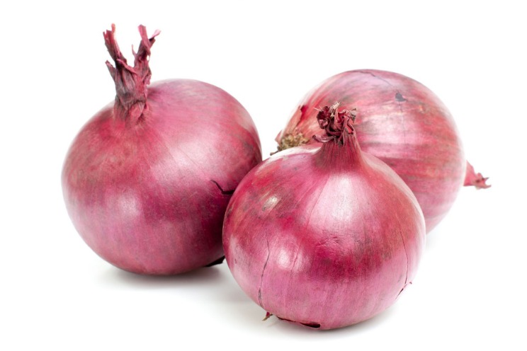 onion directory list