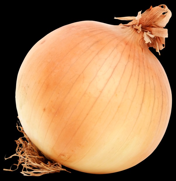 onion dark web list