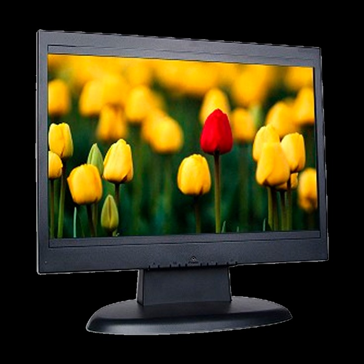 monitor dark web