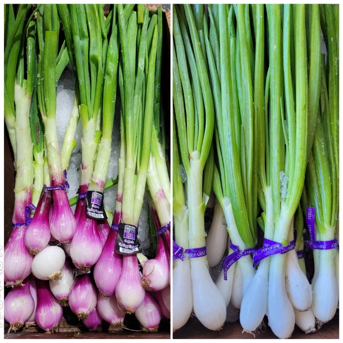 onion dark website