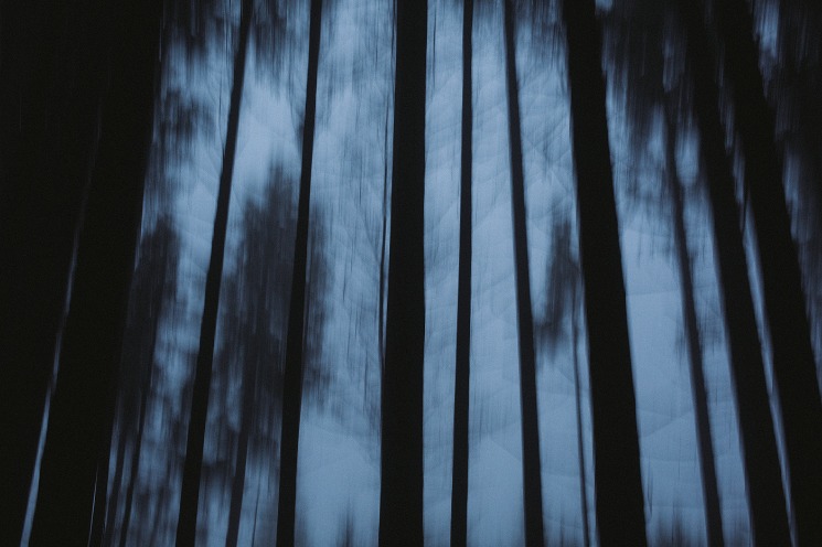 dark web websites 2024