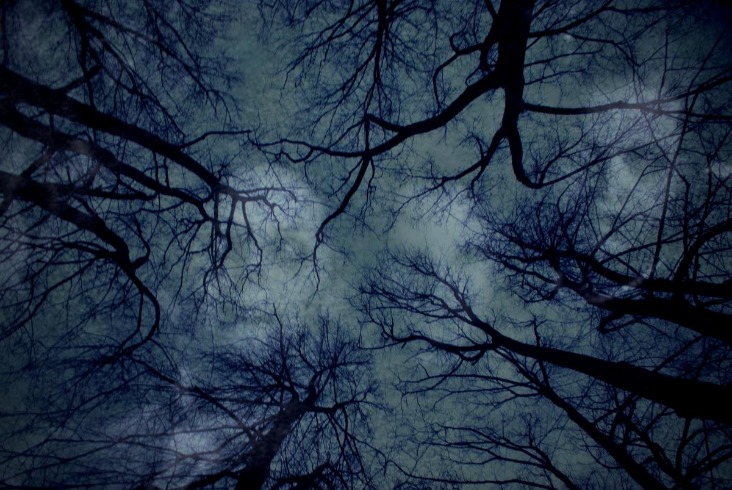 dark web websites reddit