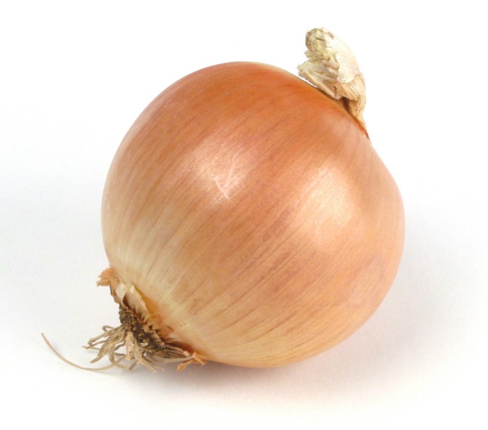 onion links