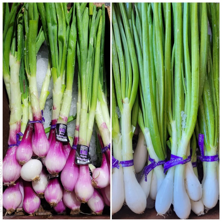 onion links