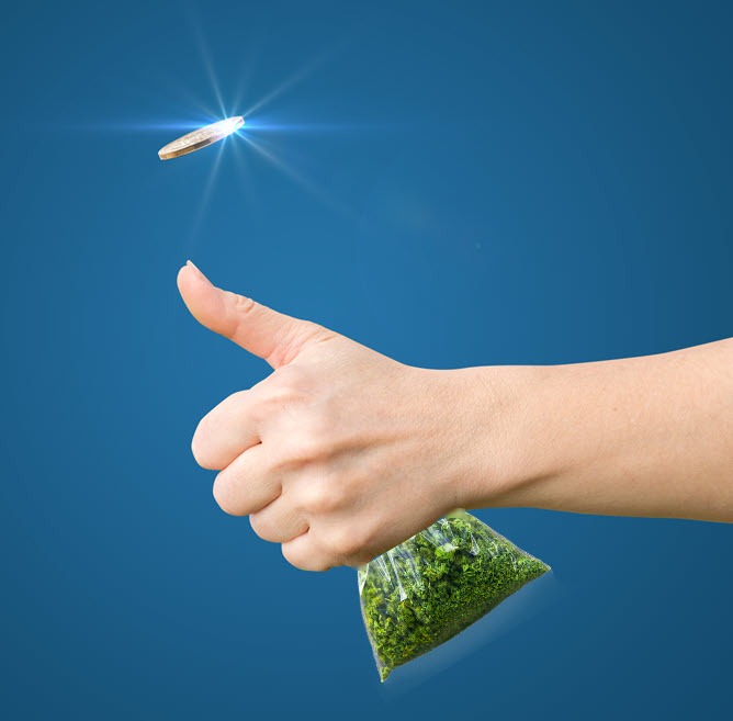 darknet cannabis markets