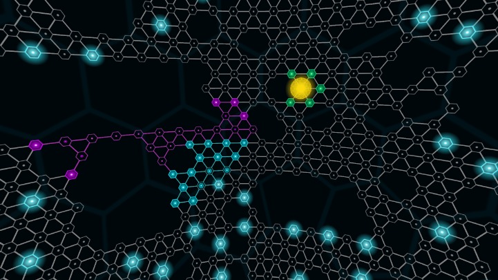 how to use darknet markets