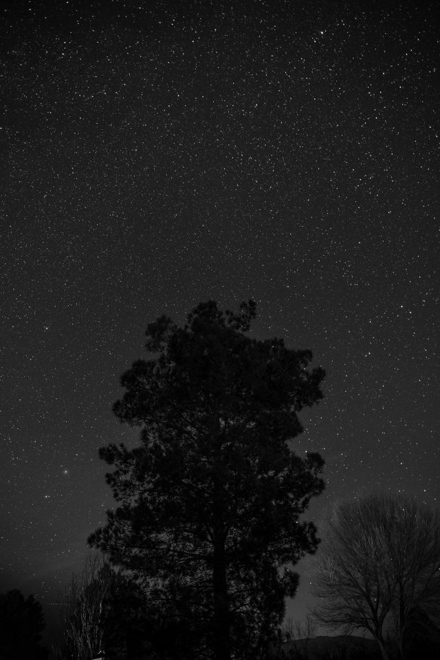 dark web markets 2025 reddit