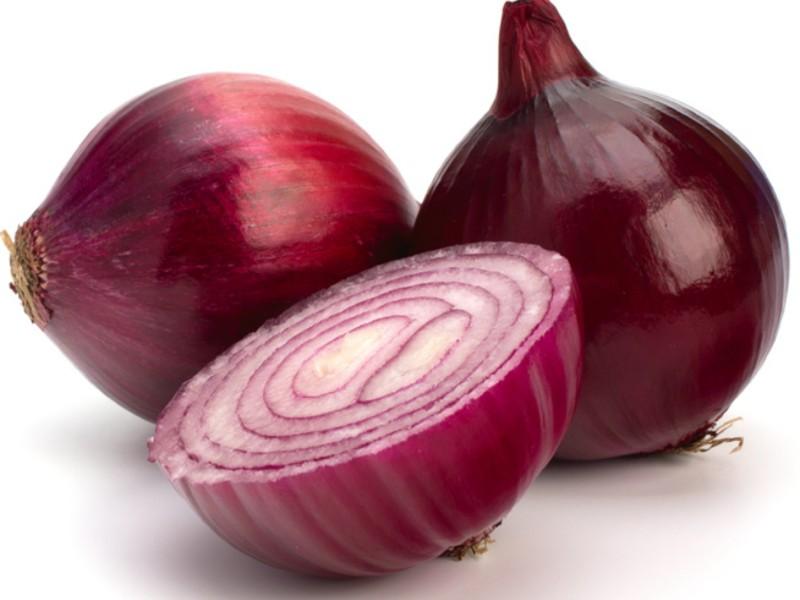 onion darknet market