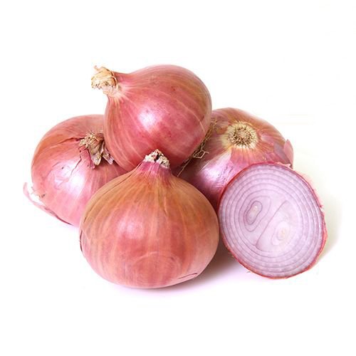 onion darknet market
