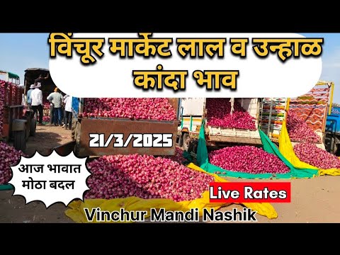 live onion market