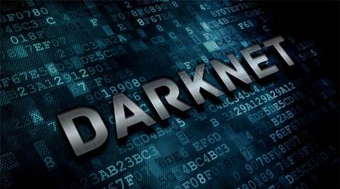 vice city darknet market