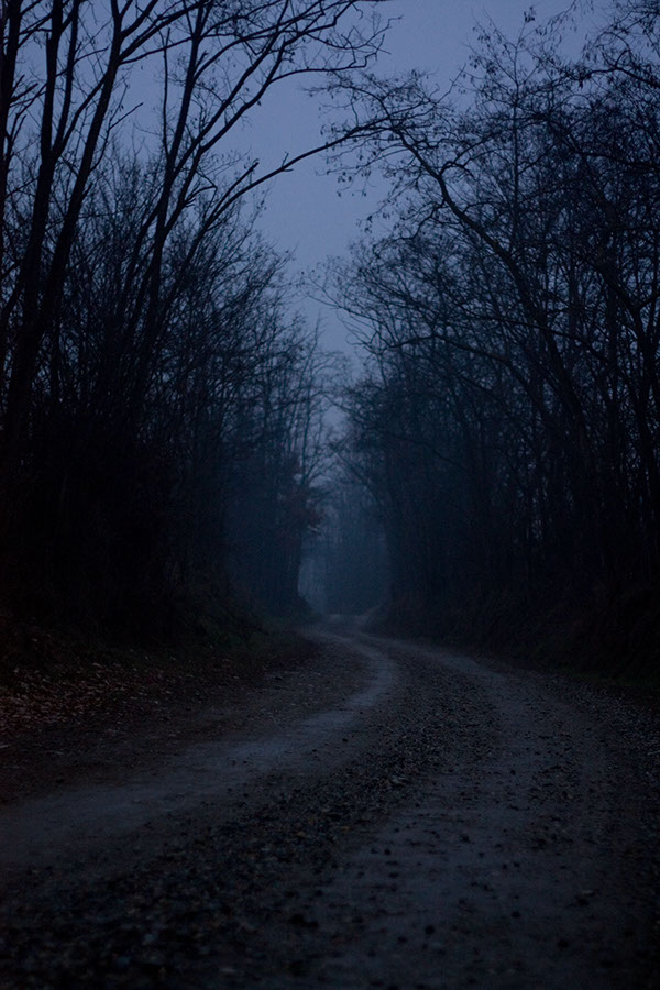 dark markets ukraine