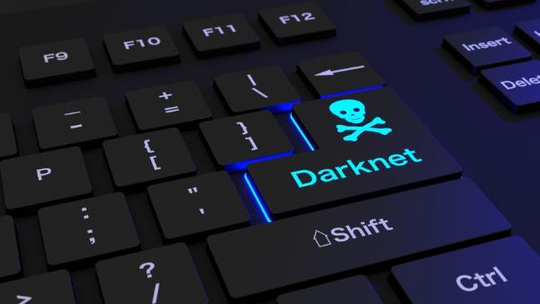 Kingdom darknet Market
