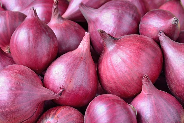onion deep web search